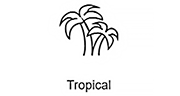 Tropical Record