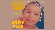 Radio Pelik