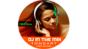 ToneArt DJ In The Mix