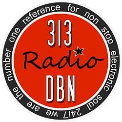 313 DBN Radio
