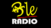 BLE Radio
