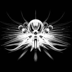 Psychedelic Trance Radio Caprice