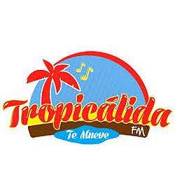 Tropicalida